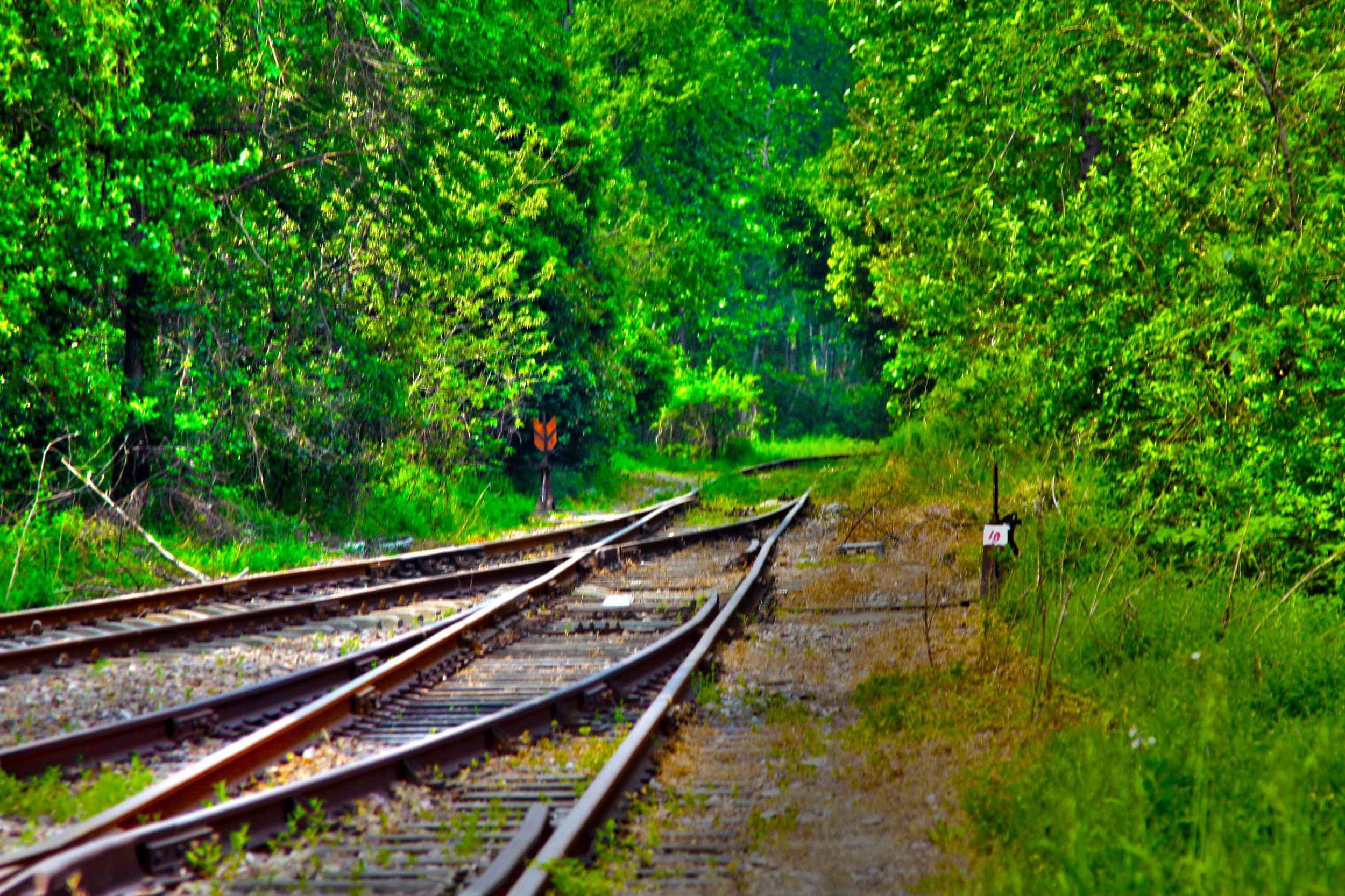 我省今年年內(nèi)有4條鐵路線投入運(yùn)營(yíng)更多出行選擇！