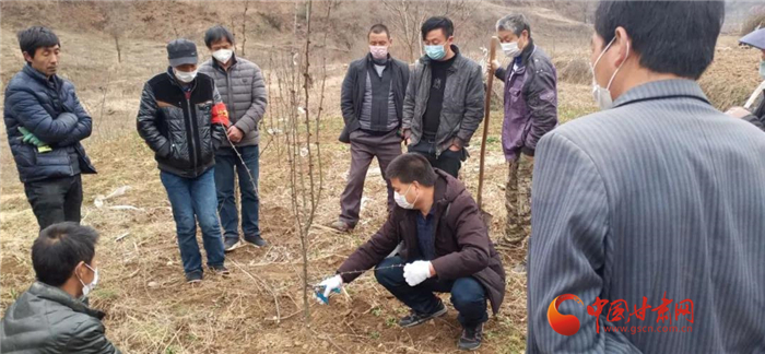 【甘肅全民戰(zhàn)“疫”】隴南徽縣：花椒田里培訓忙，戰(zhàn)疫春耕兩不誤