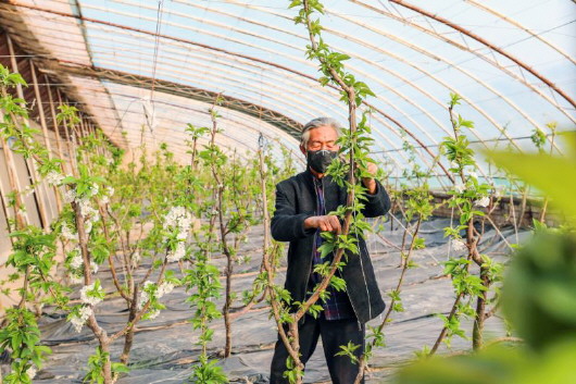 銅城復(fù)蘇：春光明媚，邀你共賞芳華（組圖）