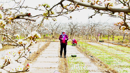 持續(xù)鞏固脫貧成果 確保如期打贏脫貧攻堅(jiān)戰(zhàn)——訪酒泉市委書(shū)記吳仰東