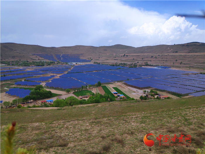 【甘肅省決戰(zhàn)決勝脫貧攻堅(jiān)】定西通渭：“紫荊花開”光明來(lái) 光伏扶貧動(dòng)力足