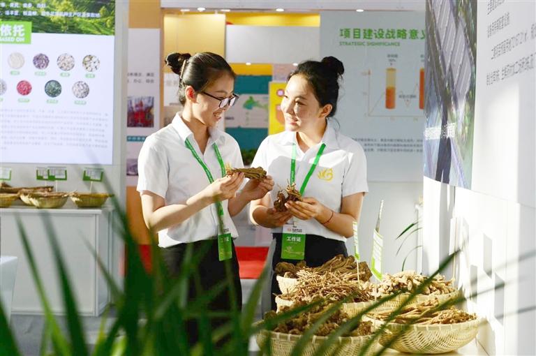 定西，從“千年藥鄉(xiāng)”邁向“中國藥都”