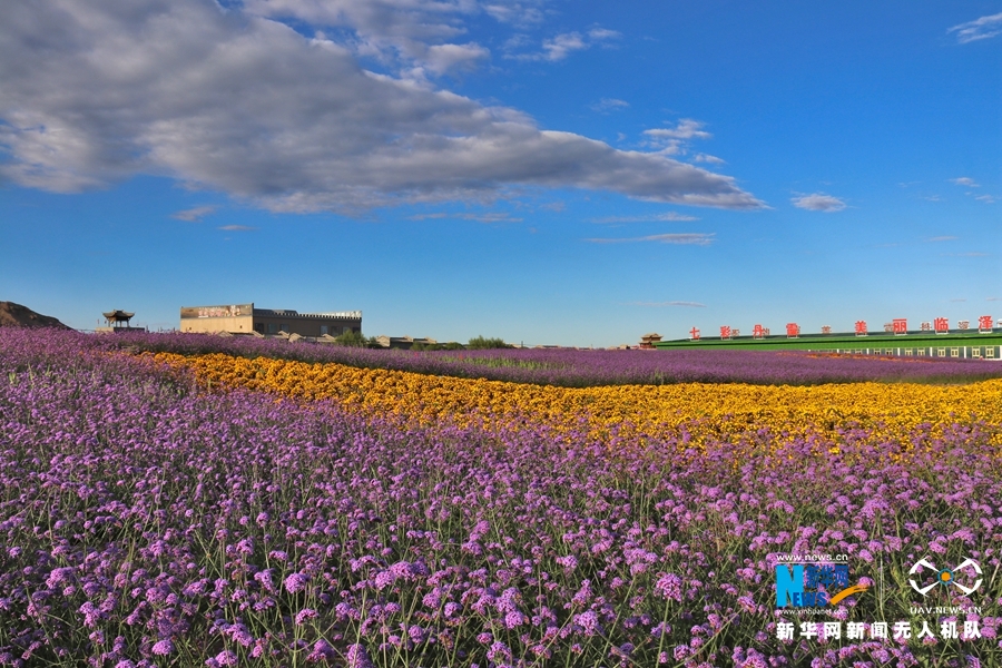 【“飛閱”中國】鳳凰花?！罢钩帷钡は伎?>
        </a><em>【“飛閱”中國】鳳凰花海“展翅”丹霞口</em></li>
    <li><a  target=