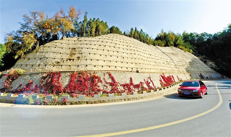 近90度陡坡上種樹！蘭州南北兩山綠化出新招