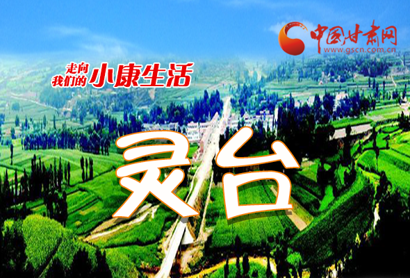 【走向我們的小康生活】長圖|靈臺(tái)：產(chǎn)業(yè)花開富萬家