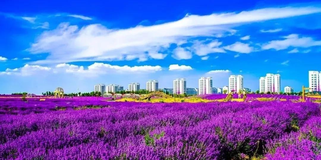 喜訊！金昌蟬聯(lián)全國(guó)文明城市