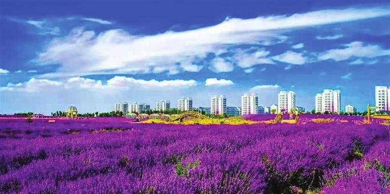 “三連冠”！金昌蟬聯(lián)全國文明城市