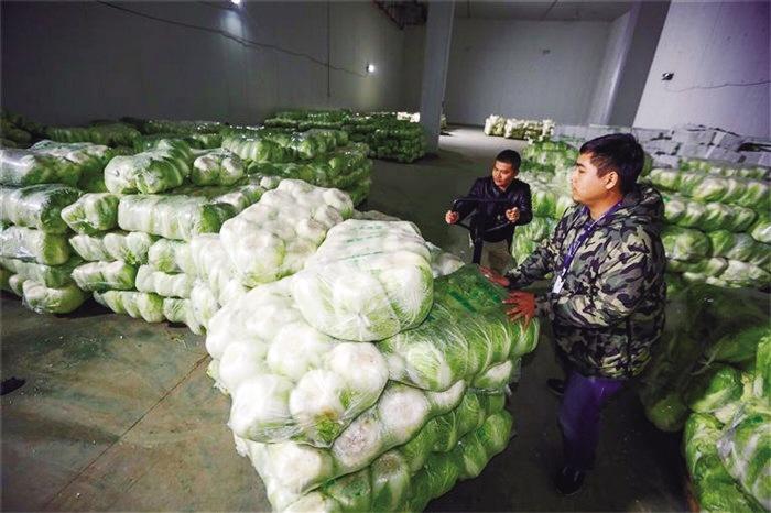 蘭州市已儲備1萬噸冬春蔬菜以耐貯存、易周轉品種為主