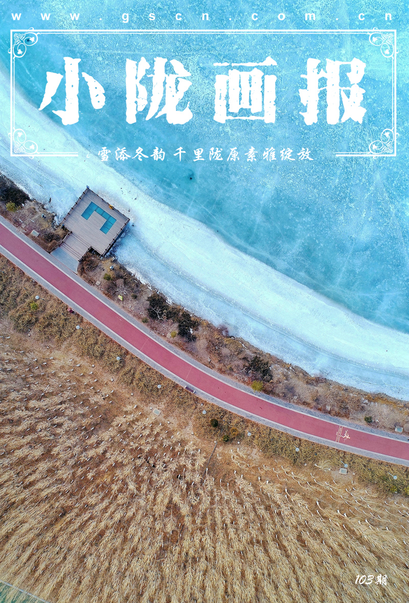 【小隴畫報·103期】雪添冬韻 千里隴原素雅綻放