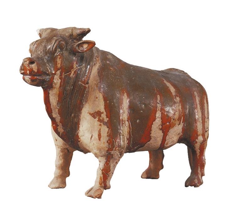 打開眼界丨牛年看牛，越看越牛!