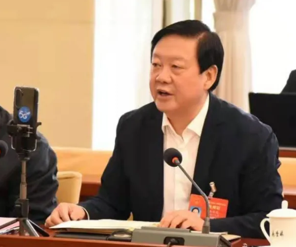 【聚焦2021全國兩會】全國人大代表、市委書記楊維俊接受中國日報記者采訪