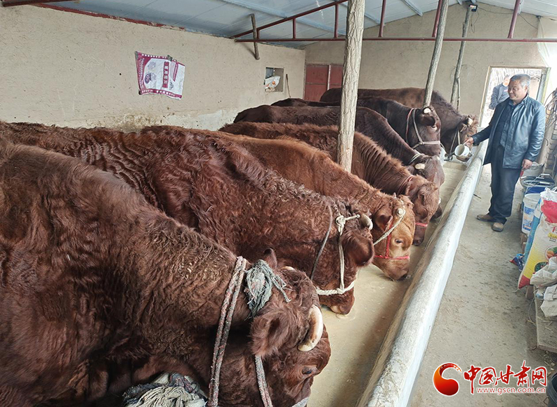 平?jīng)鰶艽ǎ骸芭！碑a(chǎn)業(yè)鋪就致富路