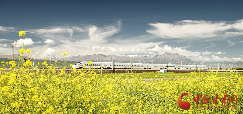 坐上火車“邂逅”春天，你可以這樣享“鐵路游”