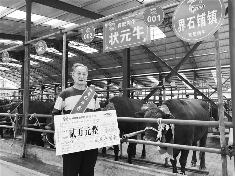 120頭“平涼紅?！膘o寧爭霸