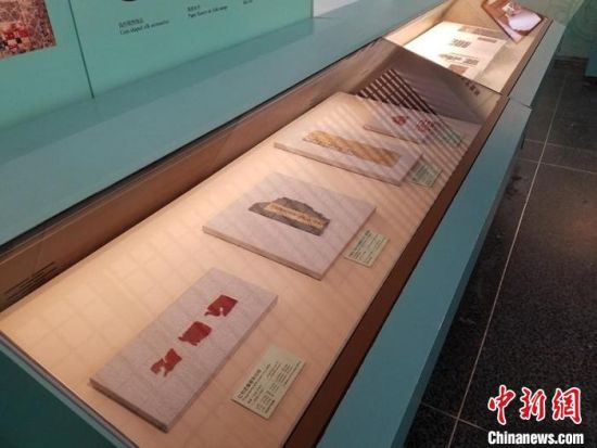 圖為展覽現(xiàn)場。　敦煌研究院供圖