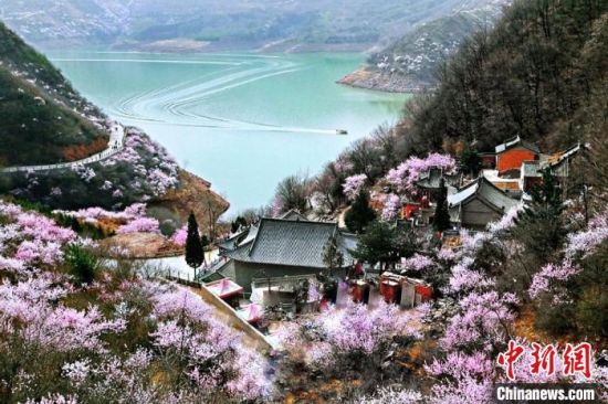 甘肅平?jīng)鍪惺侵袊?guó)優(yōu)秀旅游城市。圖為平?jīng)鲠轻忌较率锾一ㄊ㈤_。(資料圖) 平?jīng)鍪形麄鞑抗﹫D