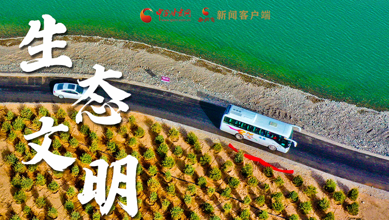 彈幕海報丨熱議甘肅省委十三屆十六次全會 網(wǎng)民聲音在回響！