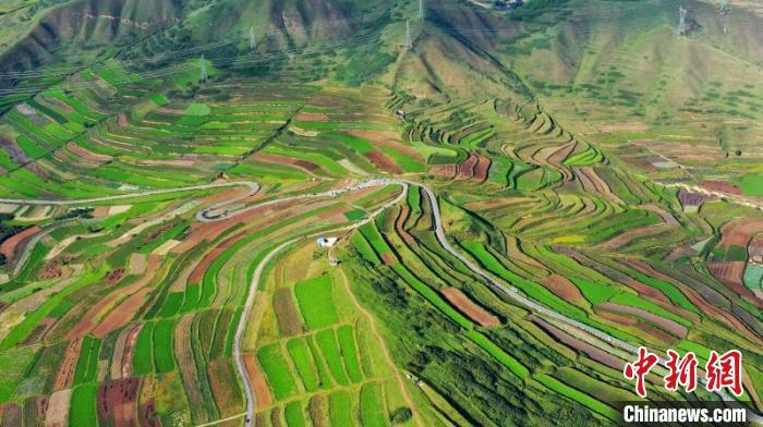 秋日里，榆中縣馬坡鄉(xiāng)千畝梯田，不同農(nóng)作物漸趨成熟，呈現(xiàn)出多種色彩，宛若大地的“調(diào)色盤”?！圆?攝