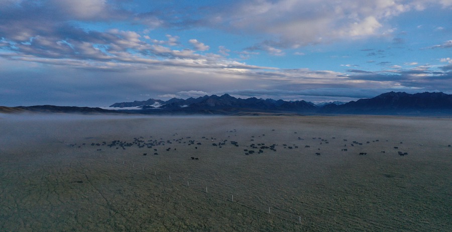 甘肅山丹馬場：峽谷云霧似仙境。 王超攝