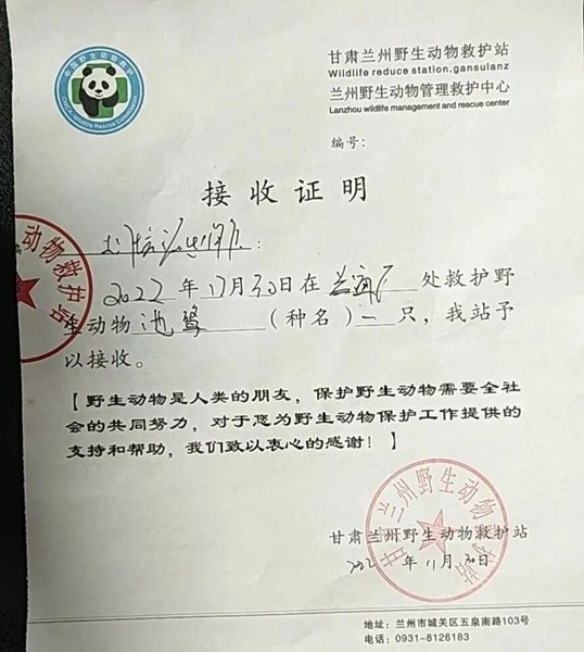 受到救助的池鷺被蘭州野生動物保護站接收。（蘭州市公安局七里河分局供圖）