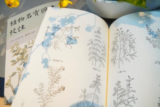 《植物名實圖考校注》內(nèi)頁。圖片來源：中華書局供圖