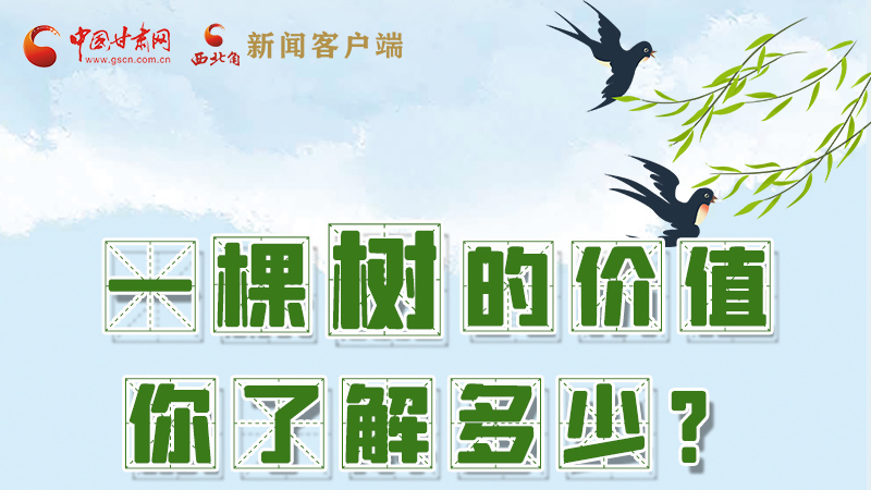 圖解|一棵樹的價值你了解多少?來看！