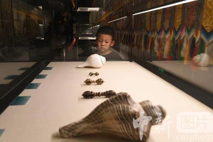圖為展出的“白海螺法器”吸引小觀眾。 中新社記者 戴文昌 攝