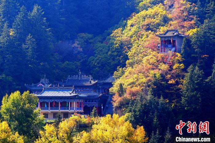 深秋，位于蘭州市榆中縣的興隆山景色如畫。宮衛(wèi)紅 攝