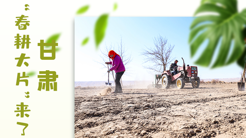 【甘快看】海報|瞧！甘肅“春耕大片”來了