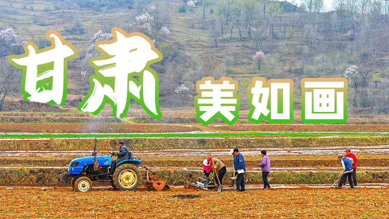 微海報(bào)|甘肅，美如畫(huà)