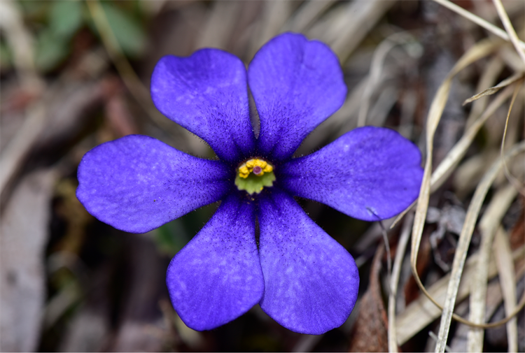 1725443799615758.png 5-2.png