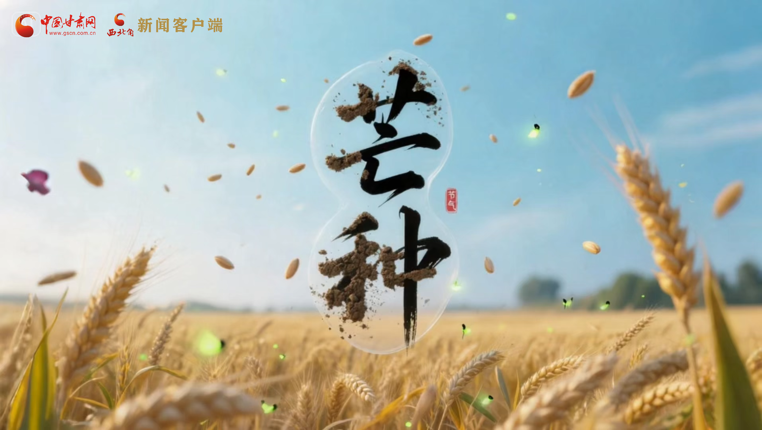 AI視頻|芒種：“芒”在當下 “種”在未來