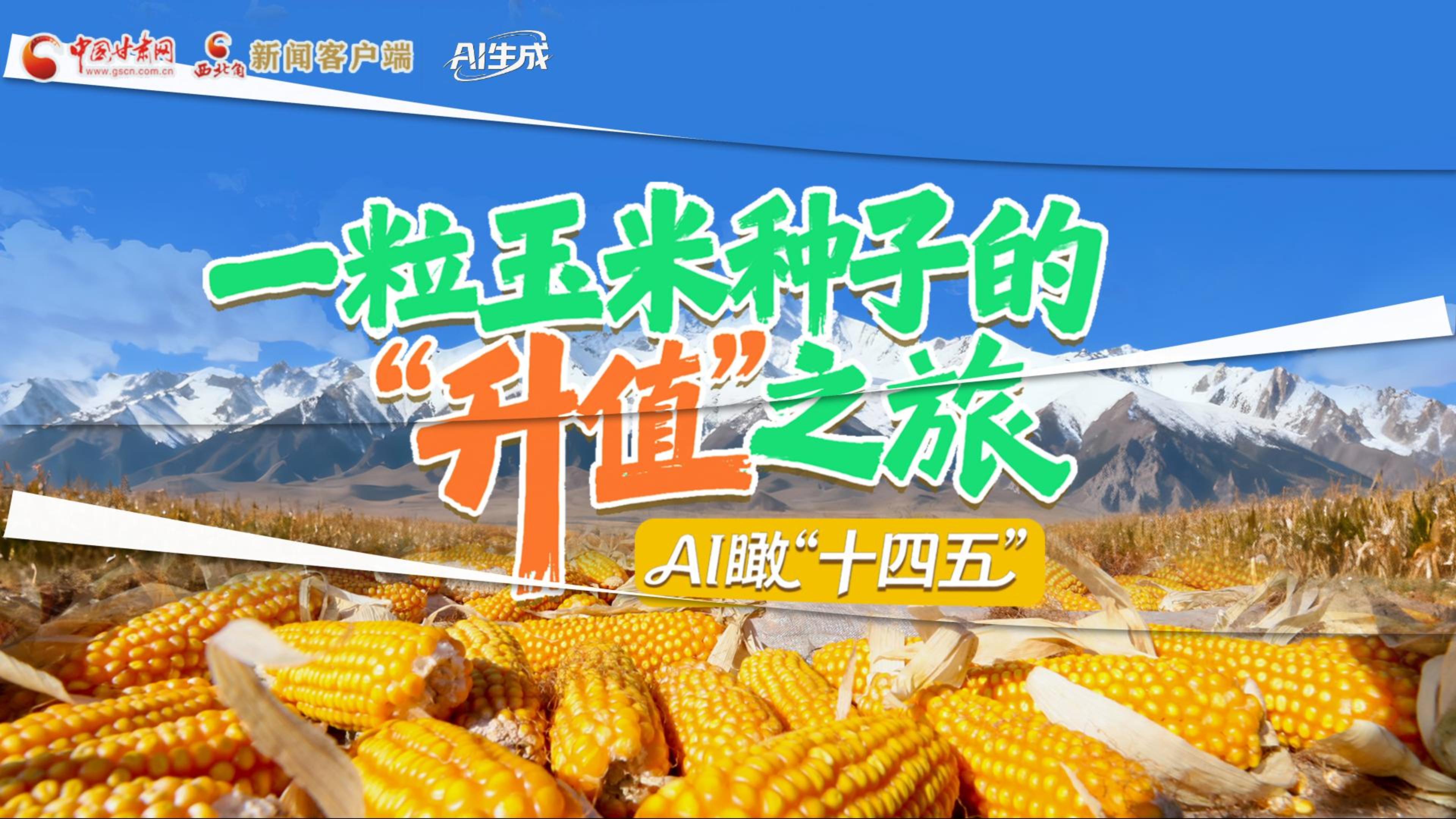 【甘快看】AI瞰甘肅“十四五”|張掖:一粒玉米種子的“升值”之旅