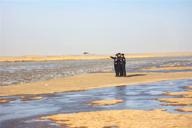 圖說(shuō)警事：看 柿子熟啦
