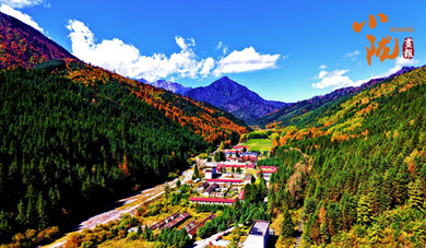 舟曲：大峪溝的冬天 每一處都是風(fēng)景壁紙