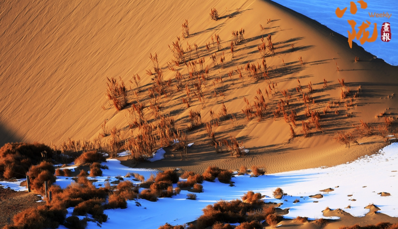 【小隴畫報·468期】酒泉：金鑲碧嵌的濕地畫卷