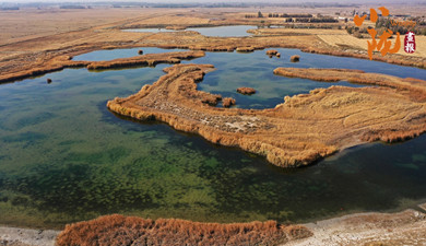 嘉峪關：金鑲碧嵌的濕地畫卷