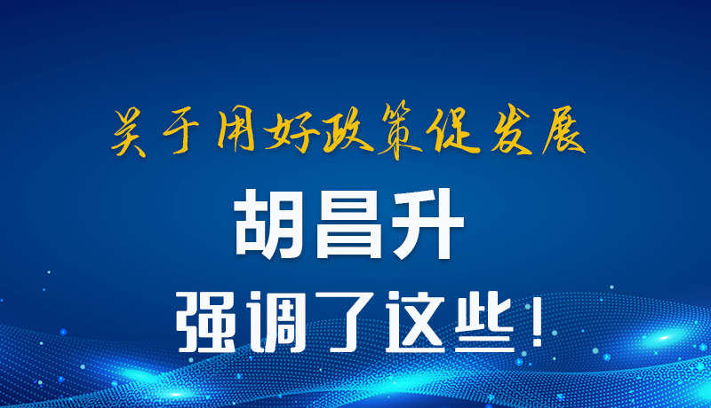 圖解|關(guān)于用好政策促發(fā)展 胡昌升強(qiáng)調(diào)了這些！