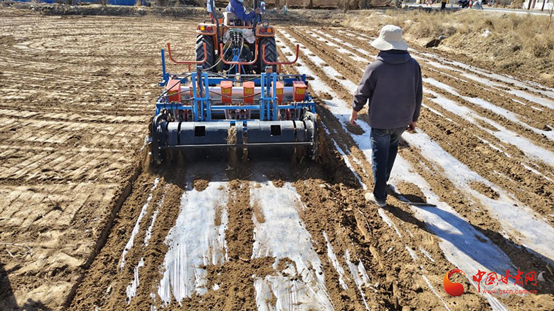 敦煌：棉花播種正當時 機械化助力增收
